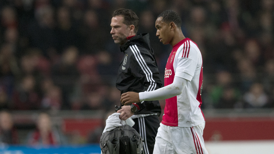 森林狼视角 森林狼视角